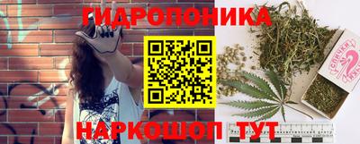кокс Новодвинск