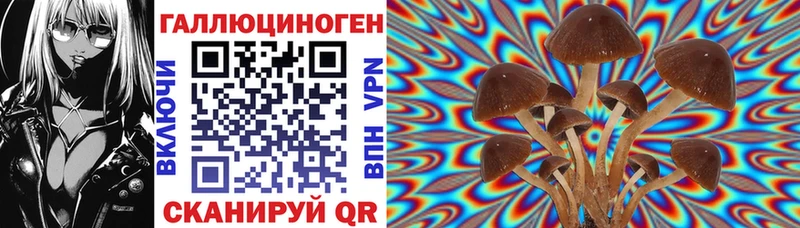 omg tor  Саратов  Галлюциногенные грибы мицелий 