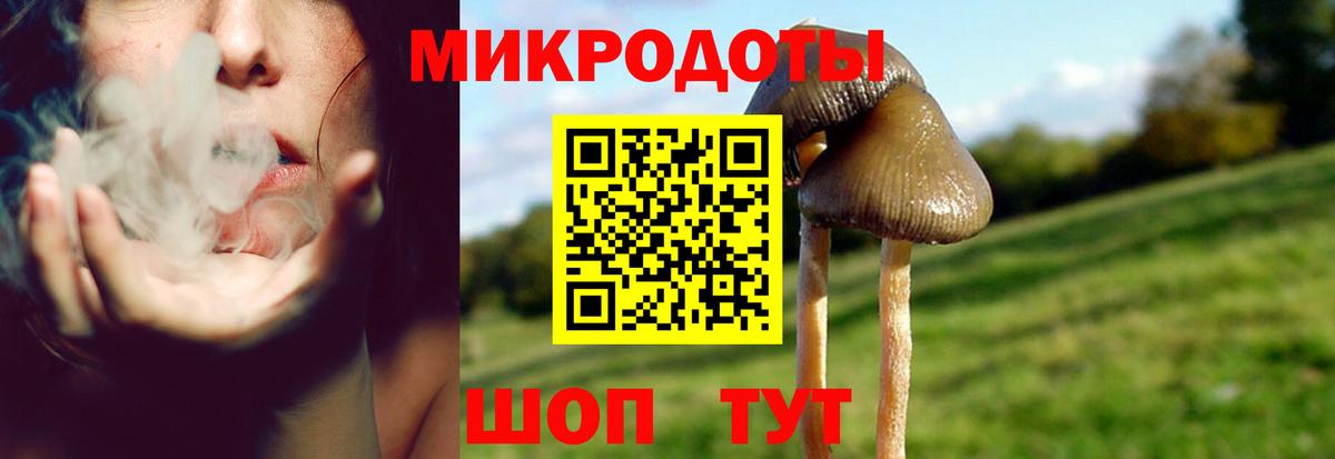 наркошоп  Галлюциногенные грибы ЛСД  Вход с VPN  Саратов 
